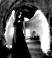 /album/fotogaleria/angel-blanco-y-negro-jpg/